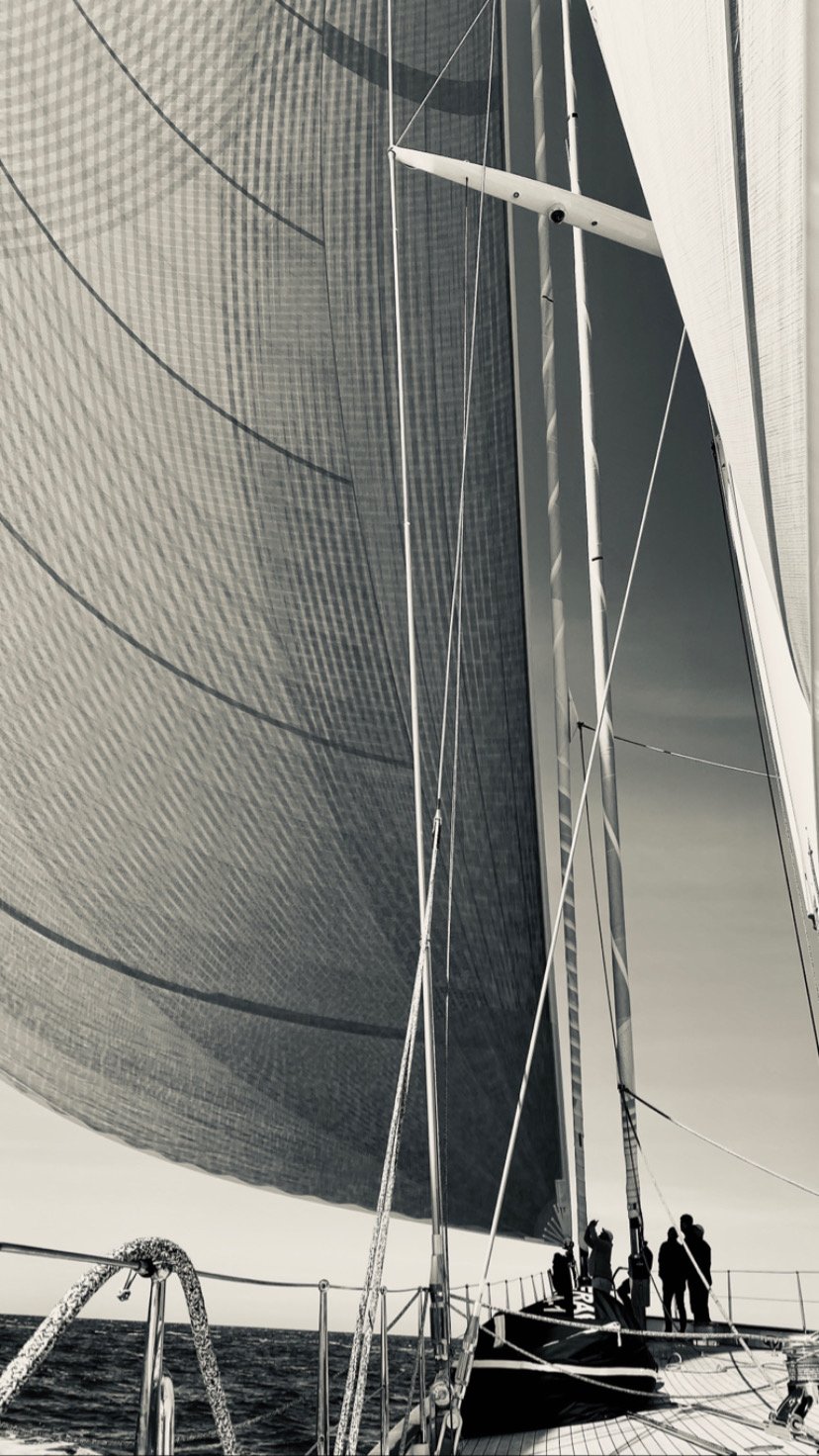 Genua_sailing_yacht